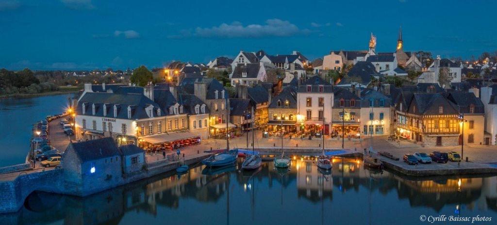 Studio Vue Sur Le Port Saint Goustan Classe 3 Etoiles! オーレー エクステリア 写真